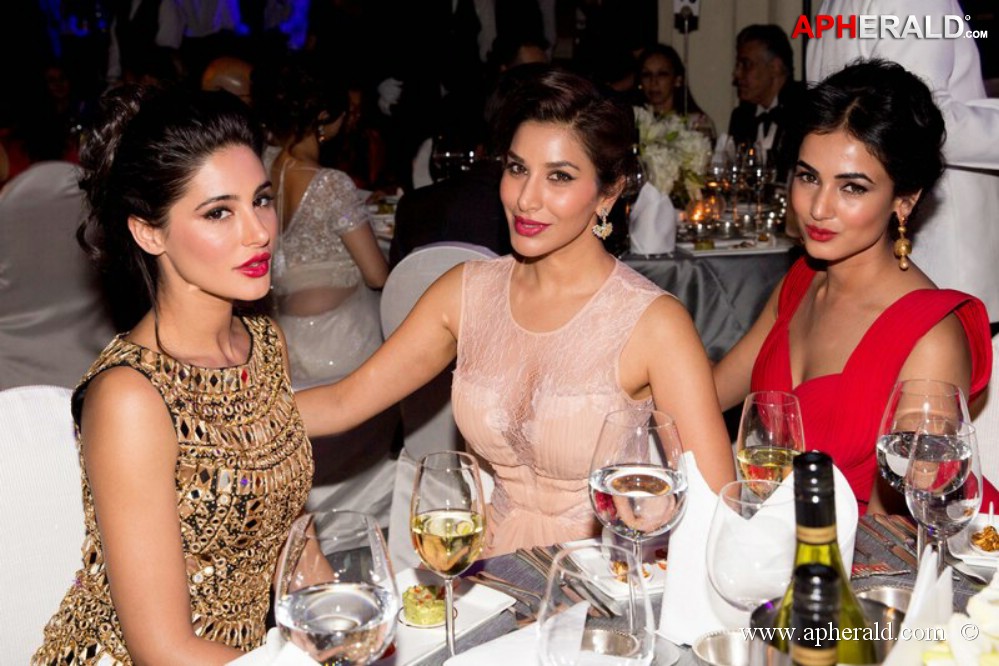 amFAR India Gala Inside Pics