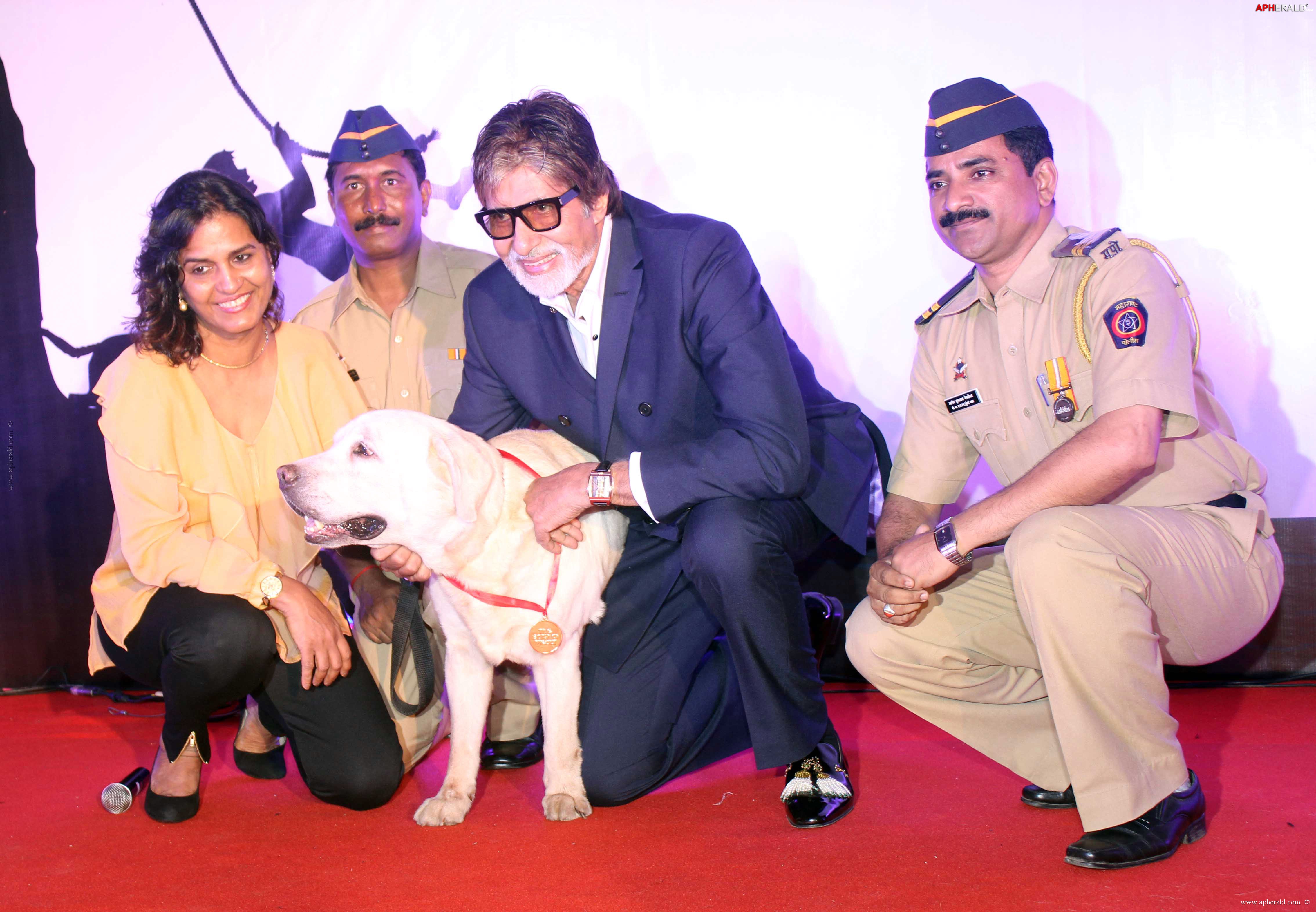 Amitabh at Pawsitive People's Awards