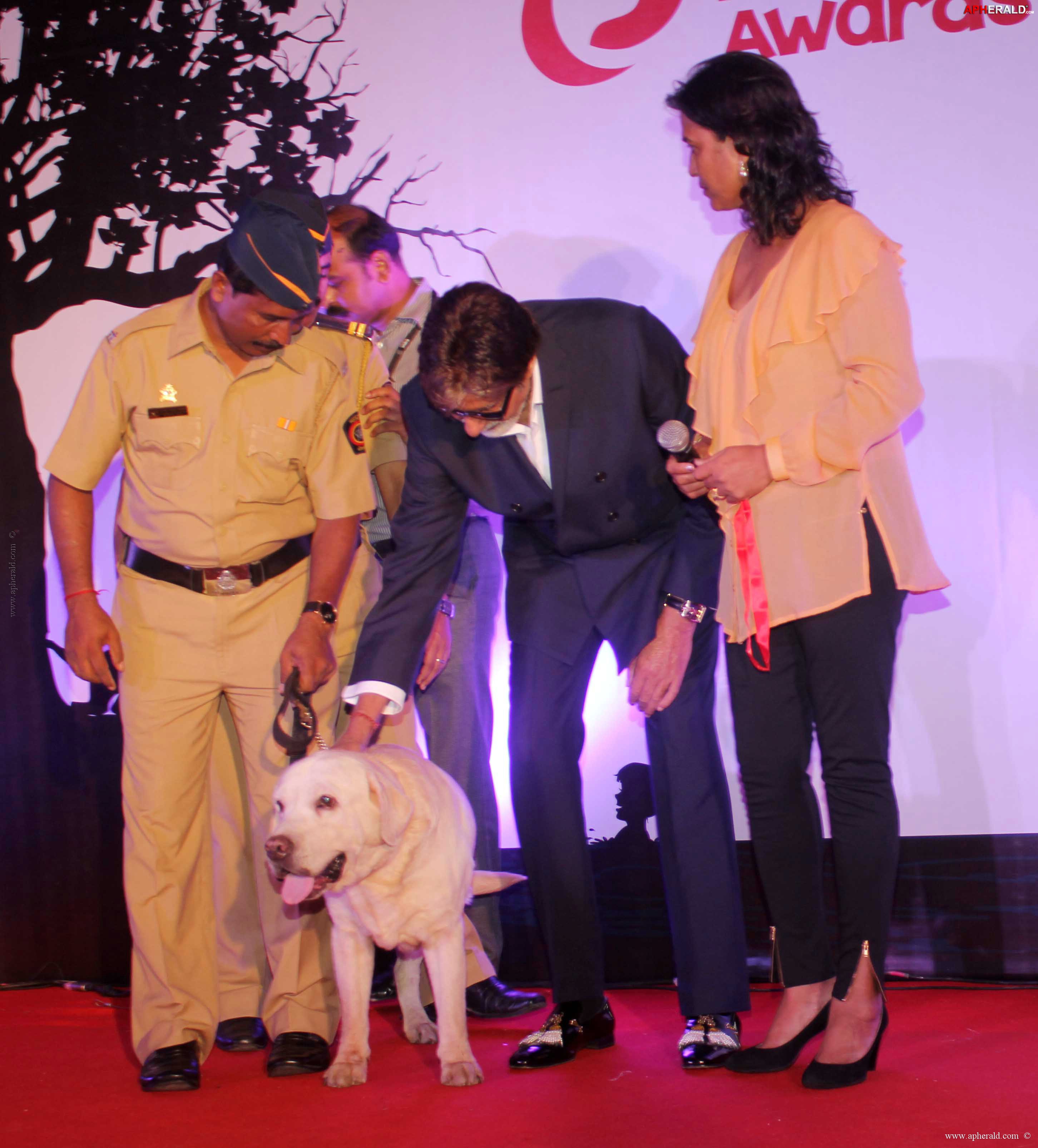 Amitabh at Pawsitive People's Awards