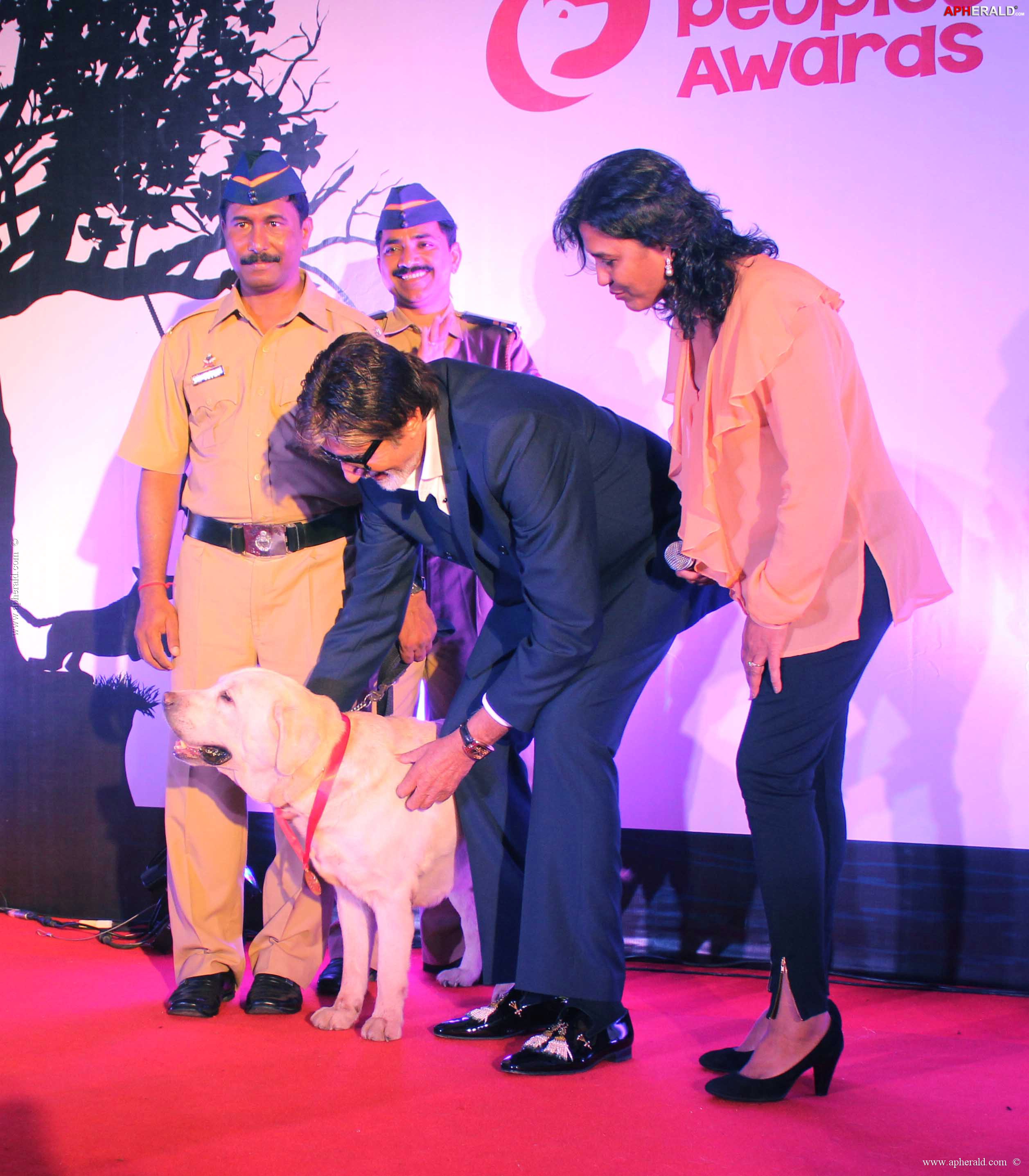 Amitabh at Pawsitive People's Awards