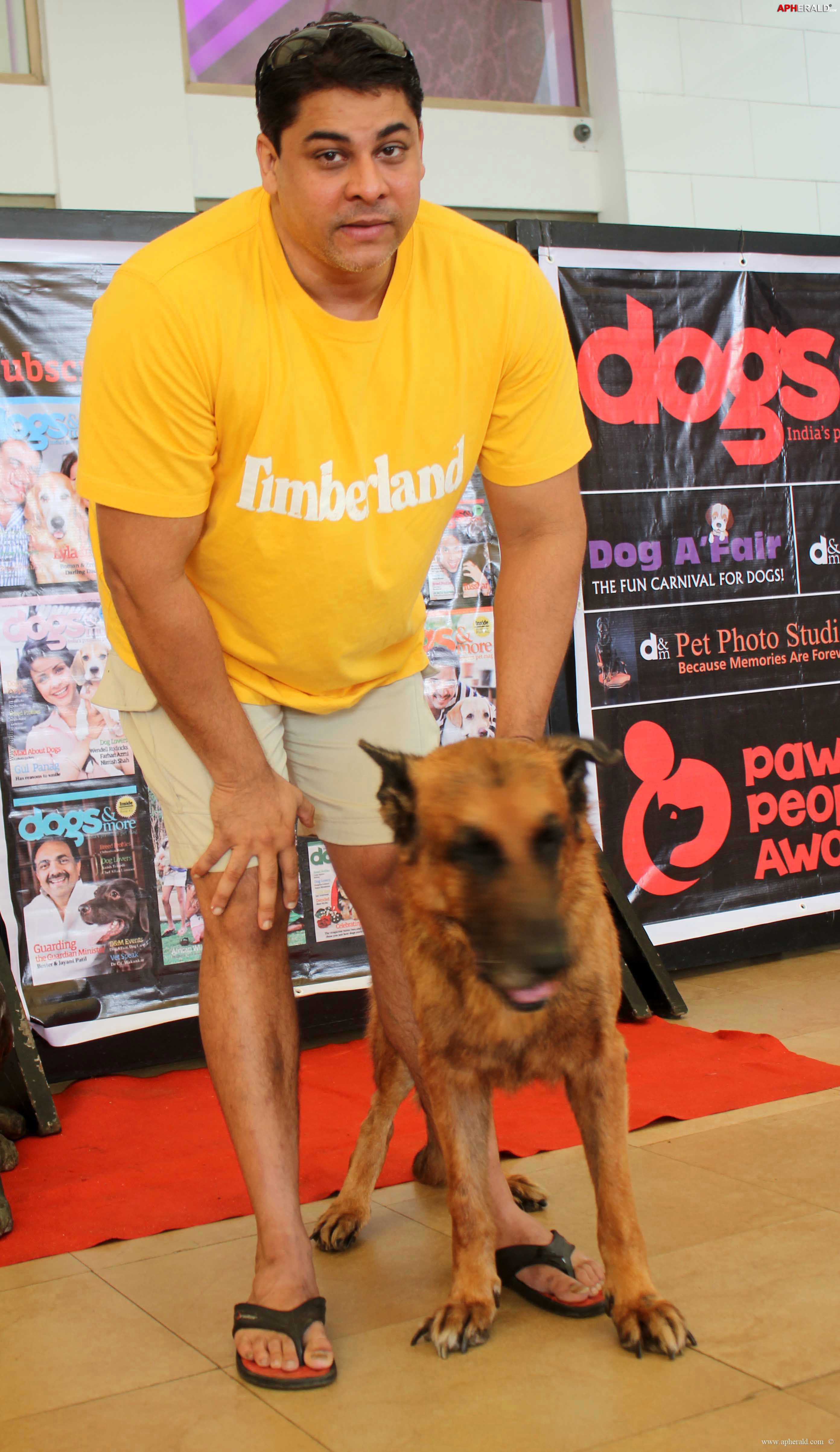 Amitabh at Pawsitive People's Awards