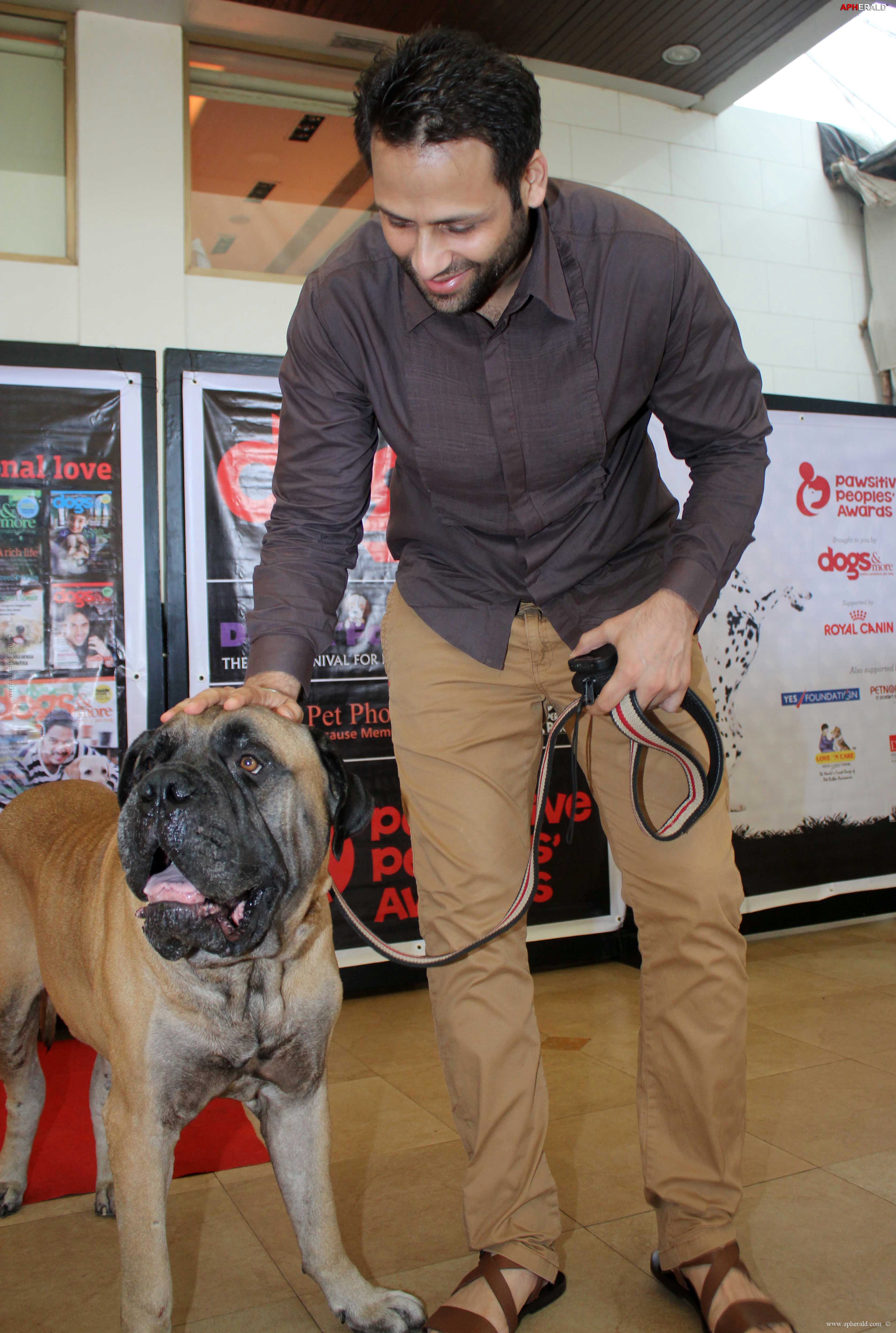 Amitabh at Pawsitive People's Awards