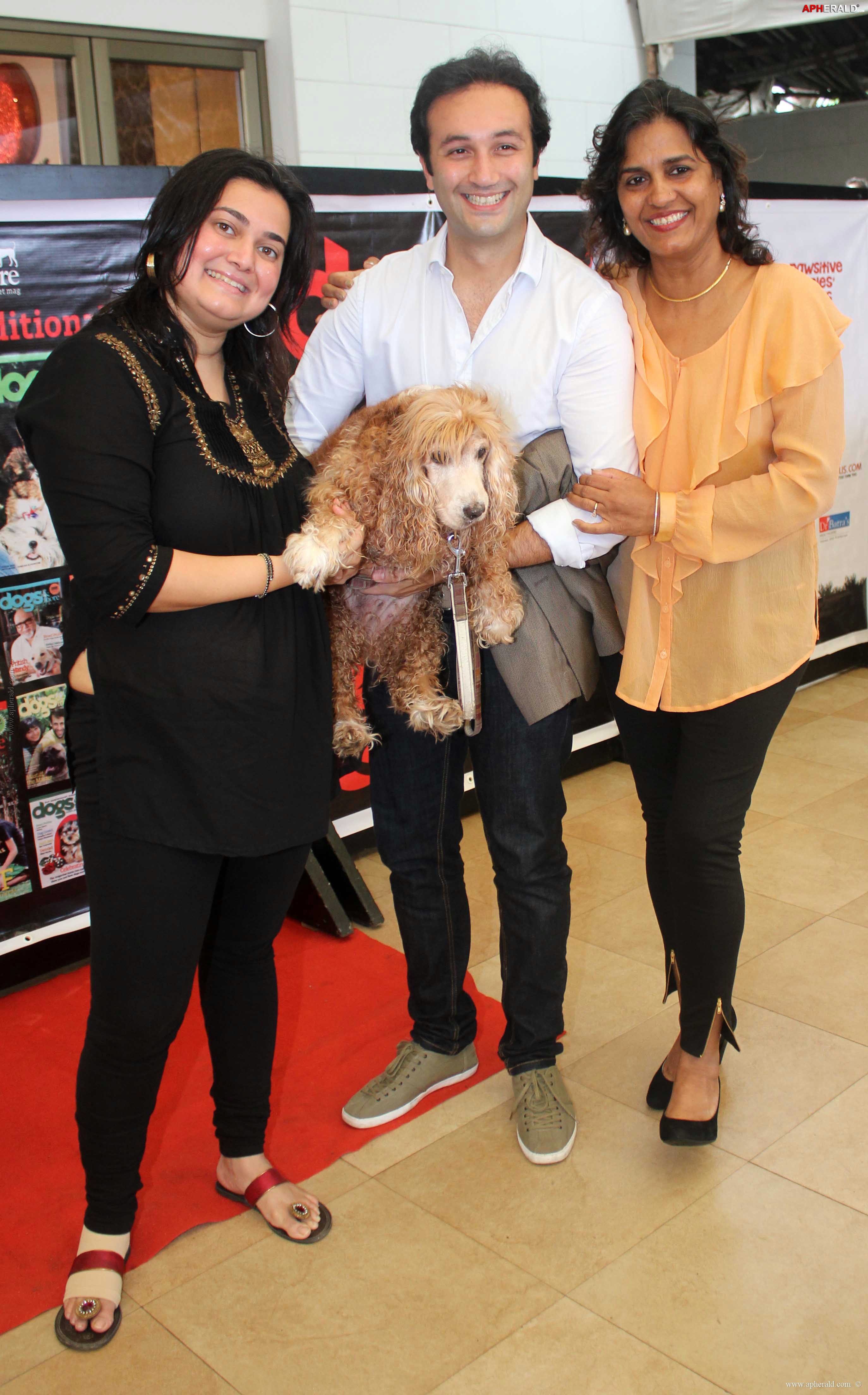 Amitabh at Pawsitive People's Awards