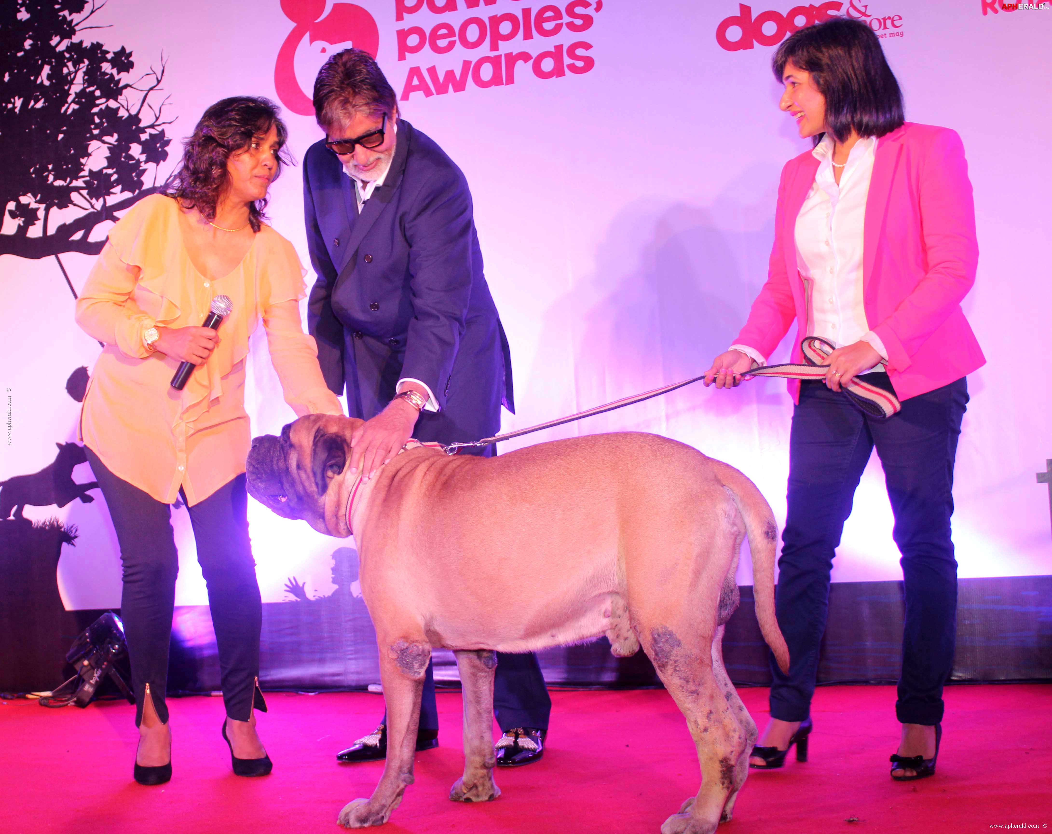 Amitabh at Pawsitive People's Awards