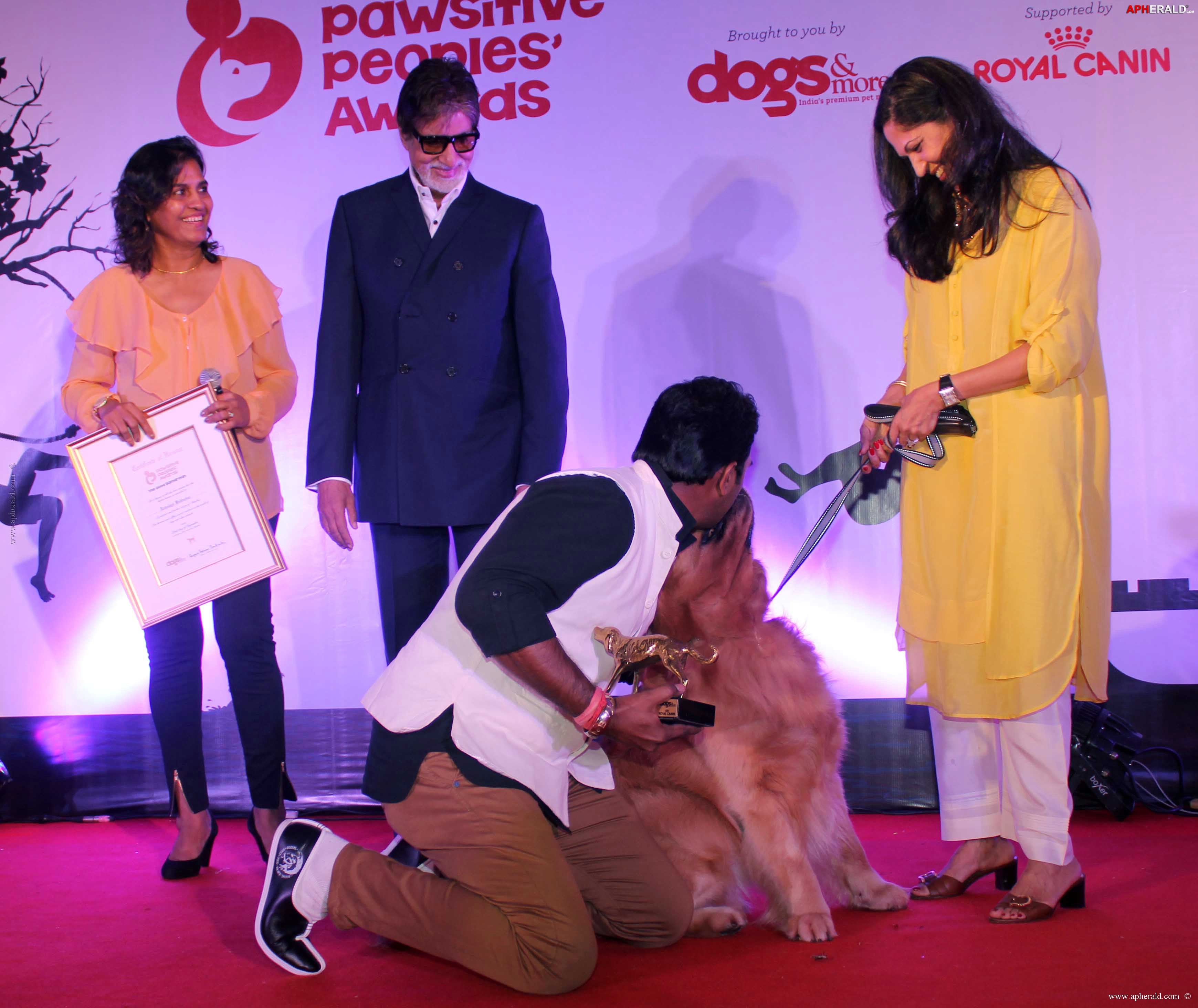 Amitabh at Pawsitive People's Awards