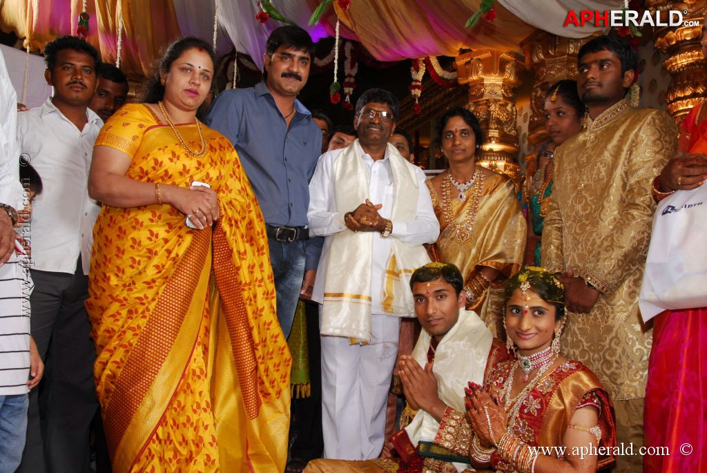 Anand Prasad Daughter Wedding Photos