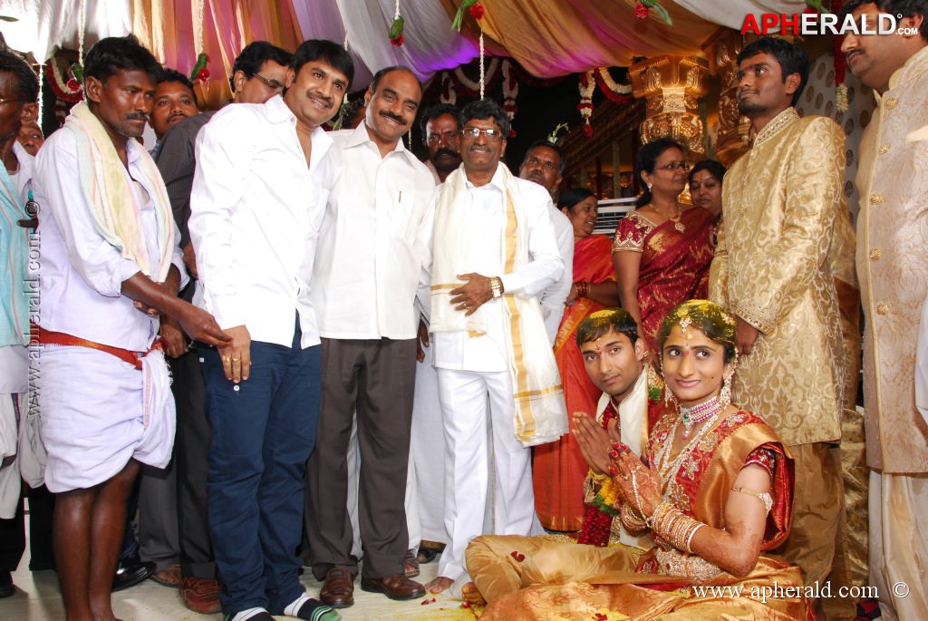 Anand Prasad Daughter Wedding Photos