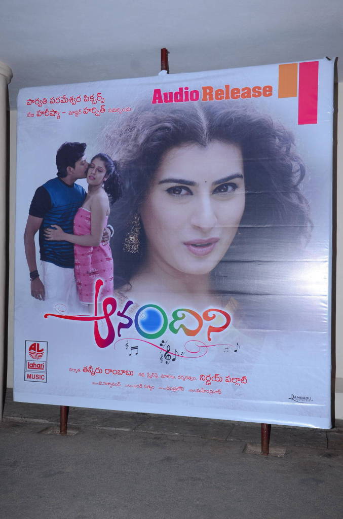 Anandini Movie Audio Launch Stills