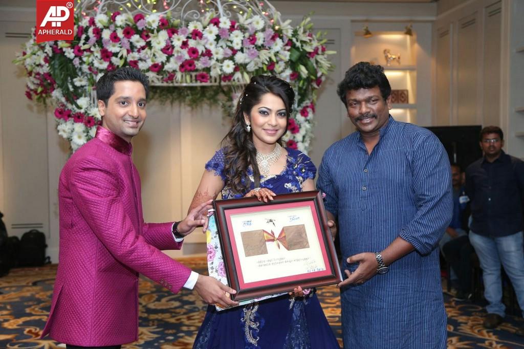 Anchor Ramya and Aparajith Wedding Reception