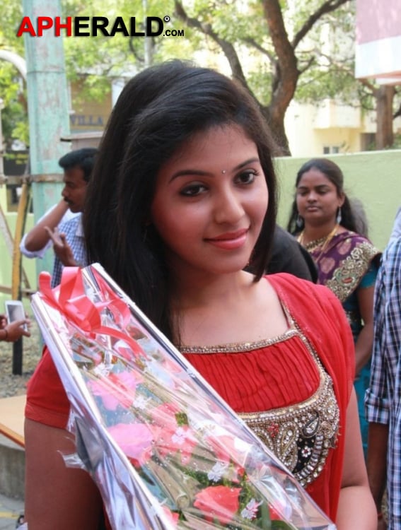 Anjali At City Club Launch Photos