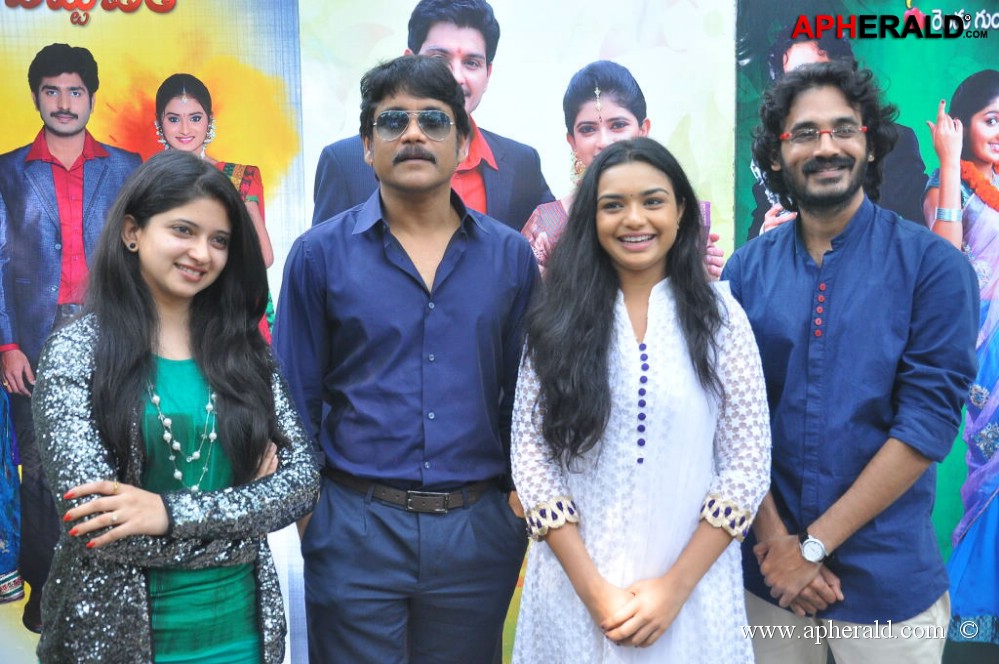 Annapurna Studios Serials Press Meet