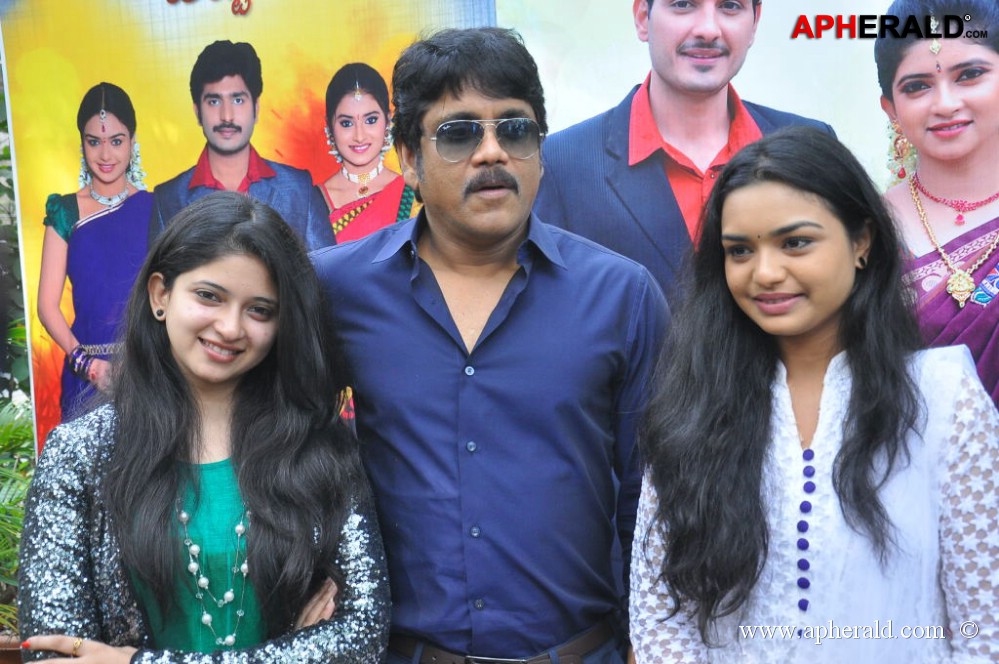 Annapurna Studios Serials Press Meet