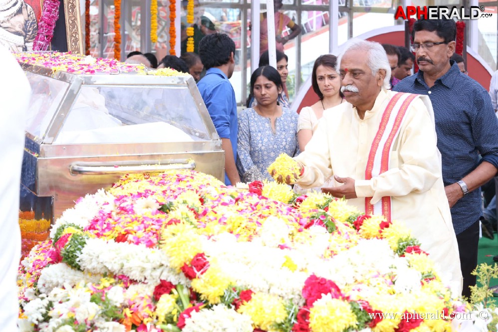 ANR Condolences Photos 2