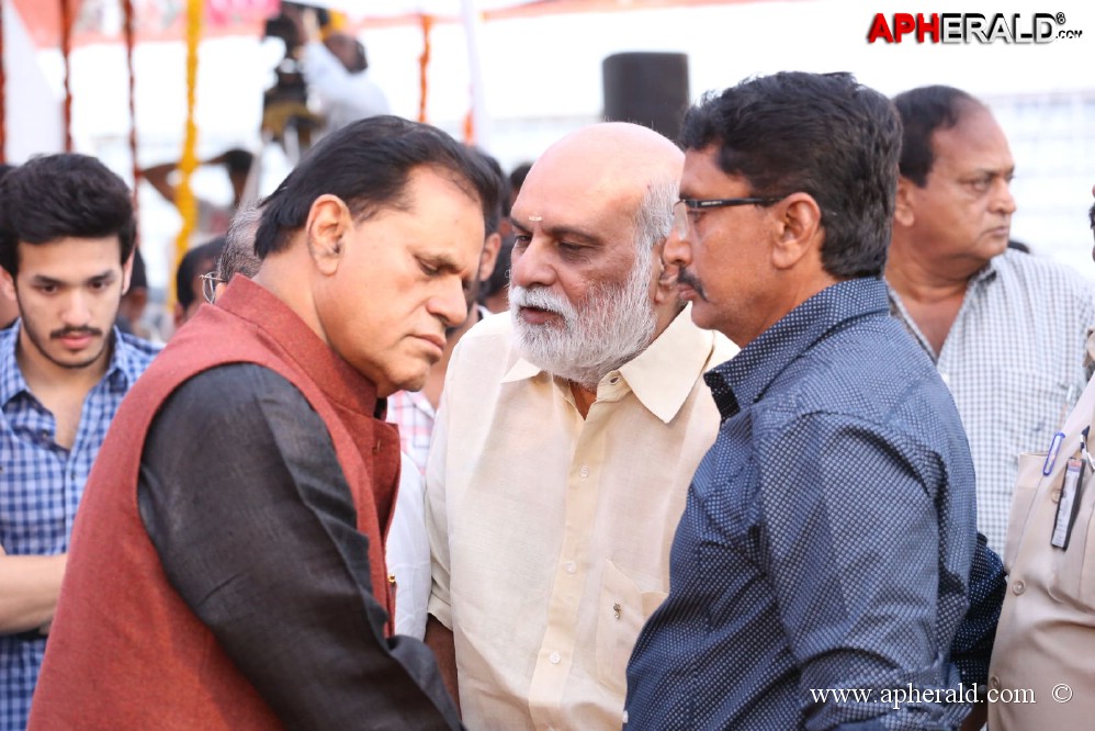 ANR Condolences Photos 3