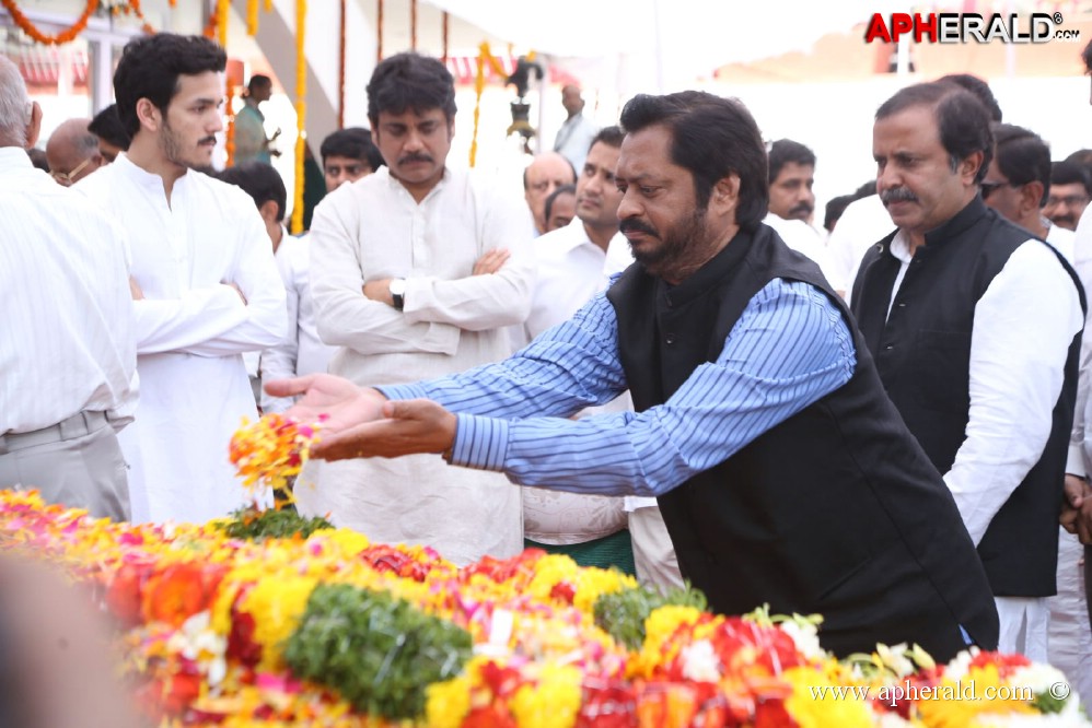 ANR Condolences Photos 5