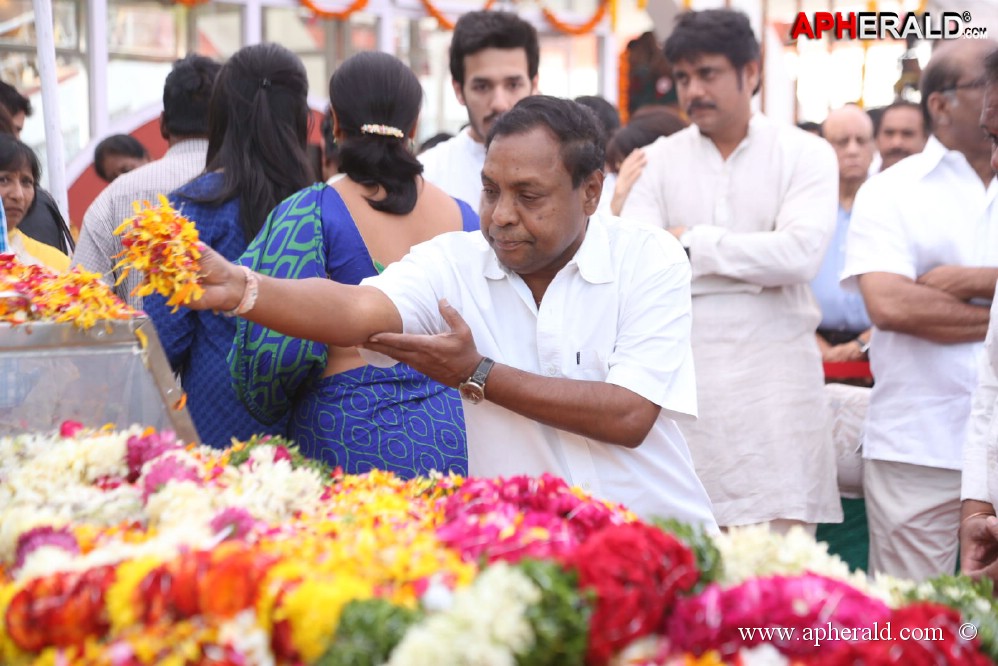 ANR Condolences Photos 5