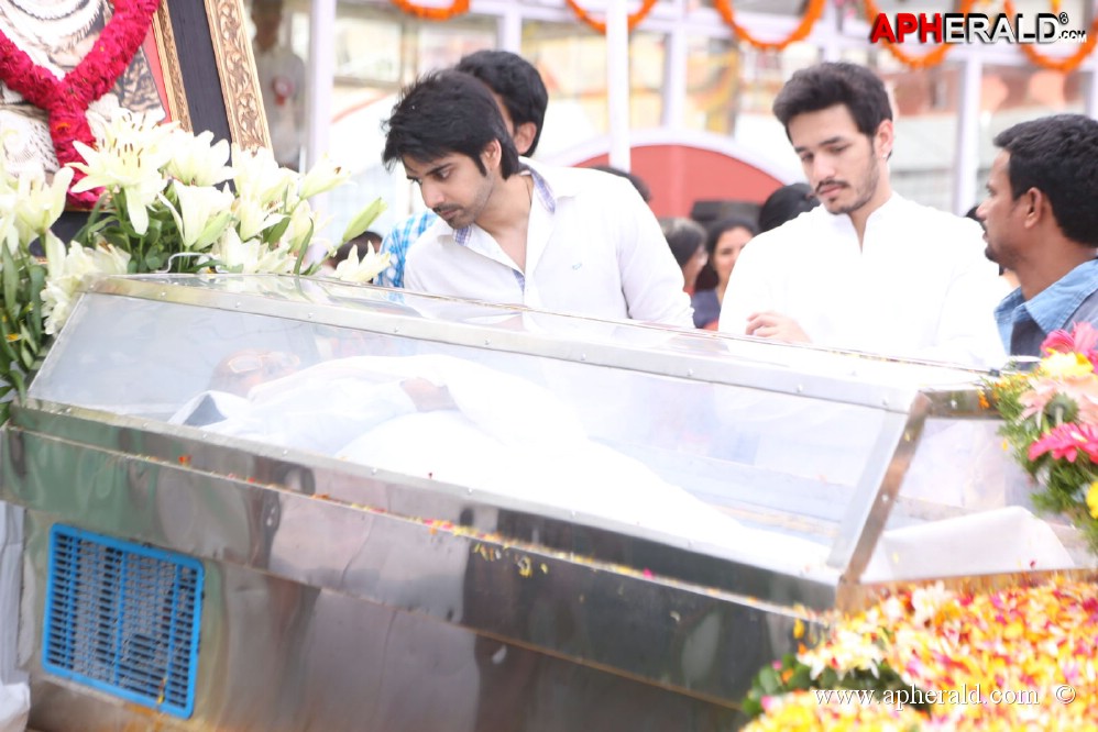 ANR Condolences Photos 5