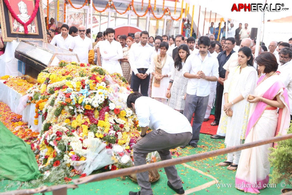ANR Condolences Photos 5