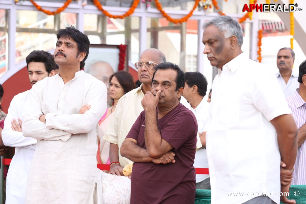 ANR Condolences Photos 6