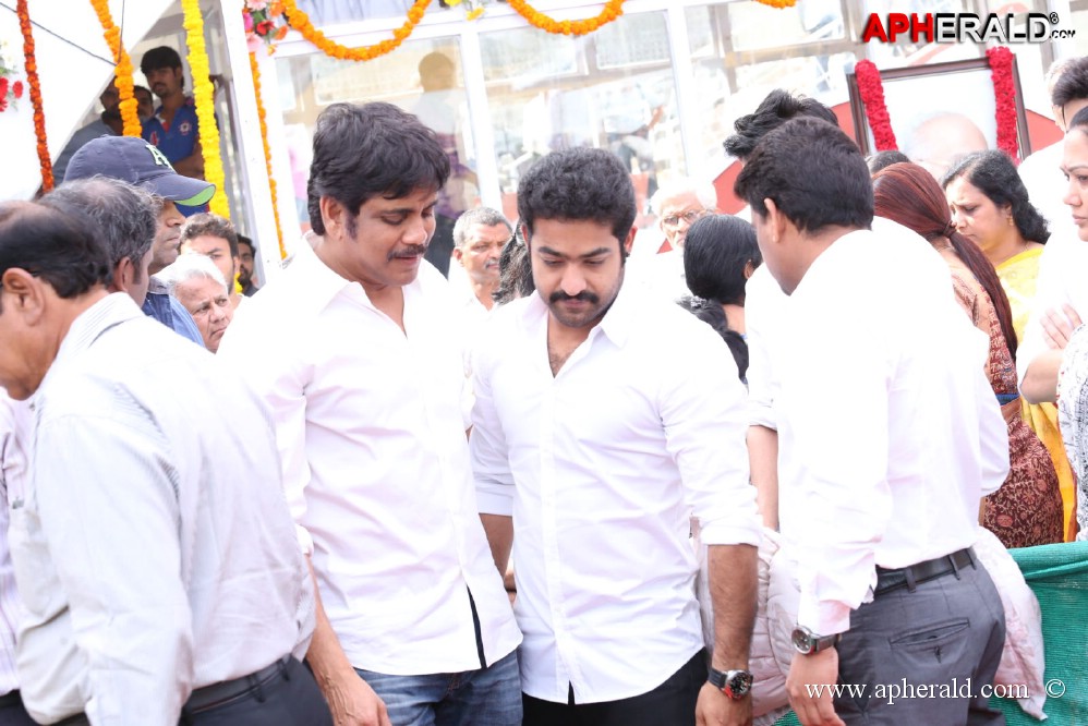 ANR Condolences Photos