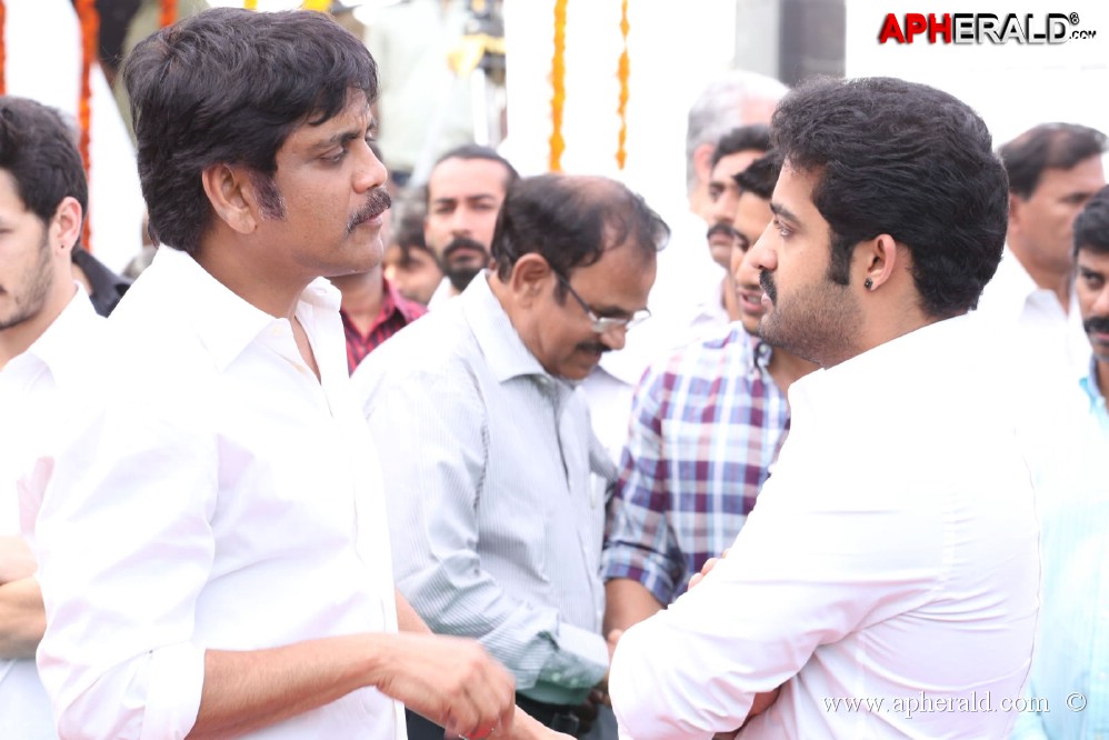 ANR Condolences Photos