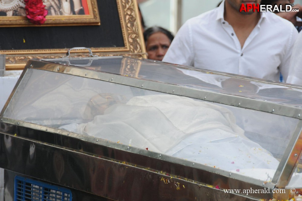 ANR Cremation Photos 1