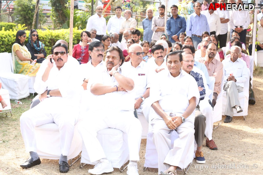 ANR Cremation Photos