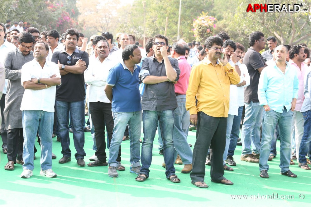 ANR Cremation Photos