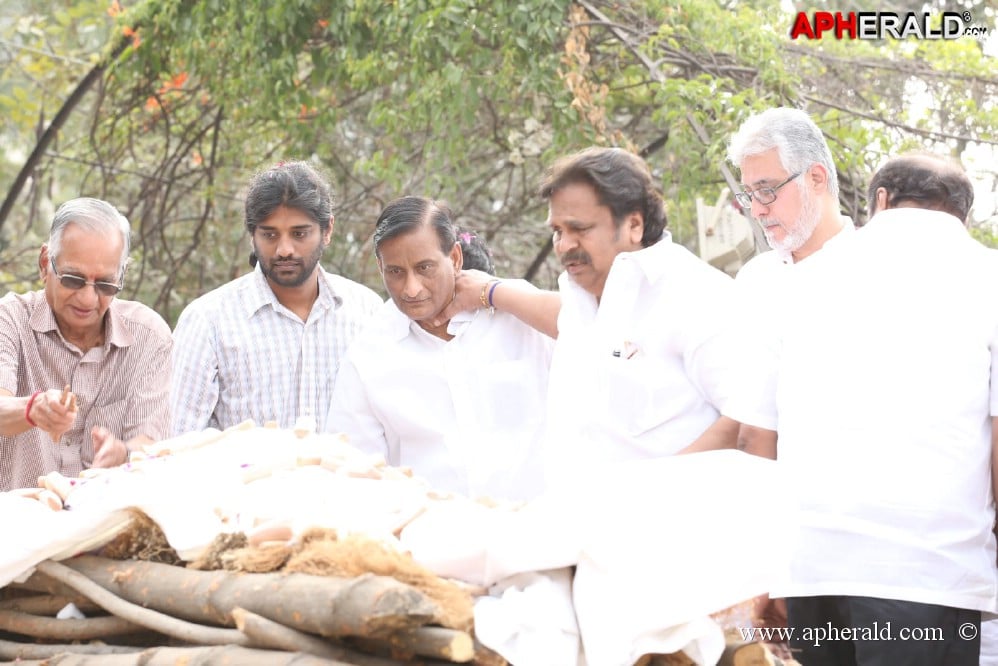 ANR Cremation Photos