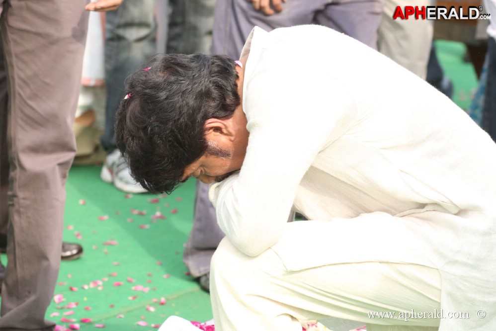 ANR Cremation Photos