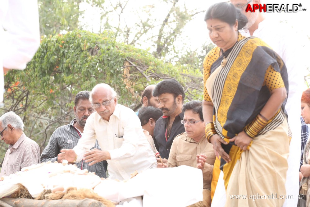 ANR Cremation Photos