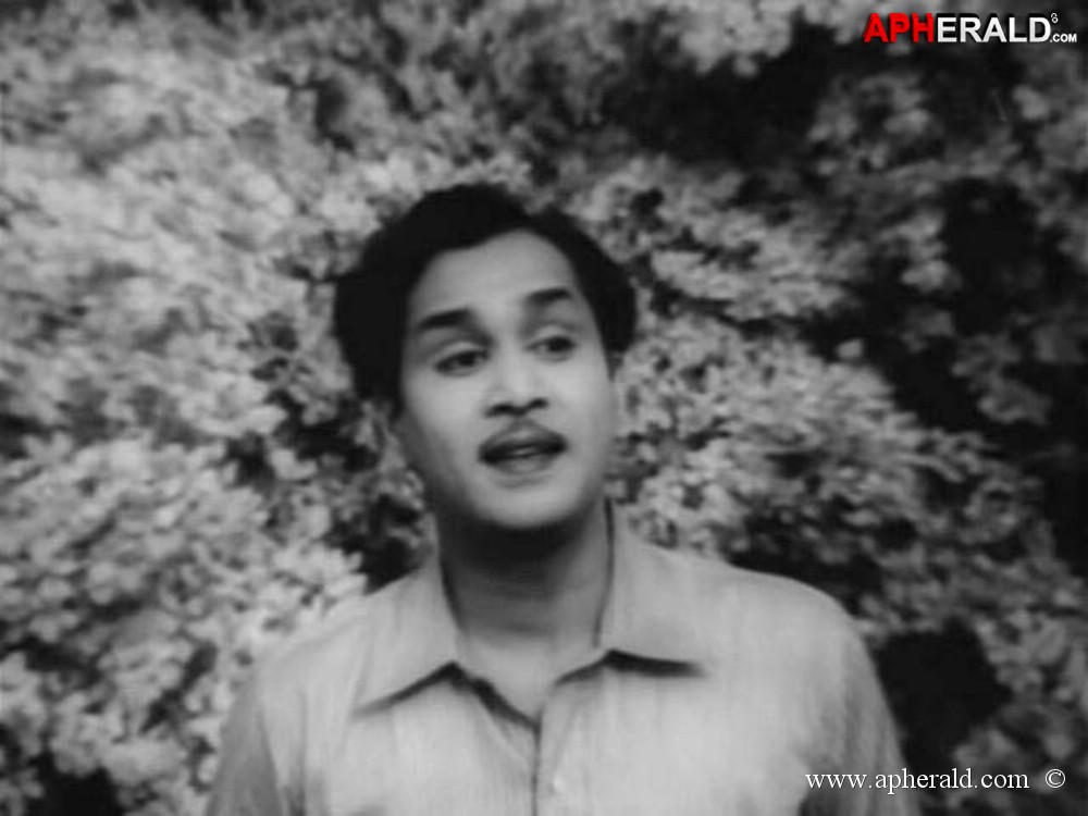 ANR Died - 22 jan 2014