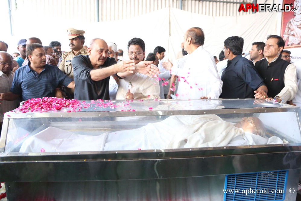 ANR Final Journey Photos