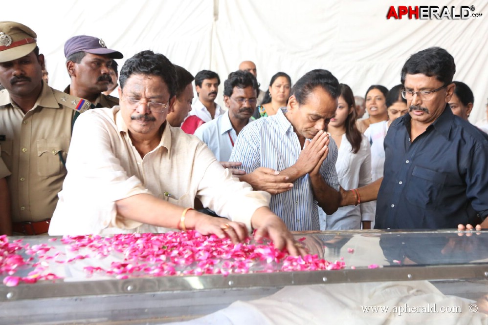 ANR Final Journey Photos