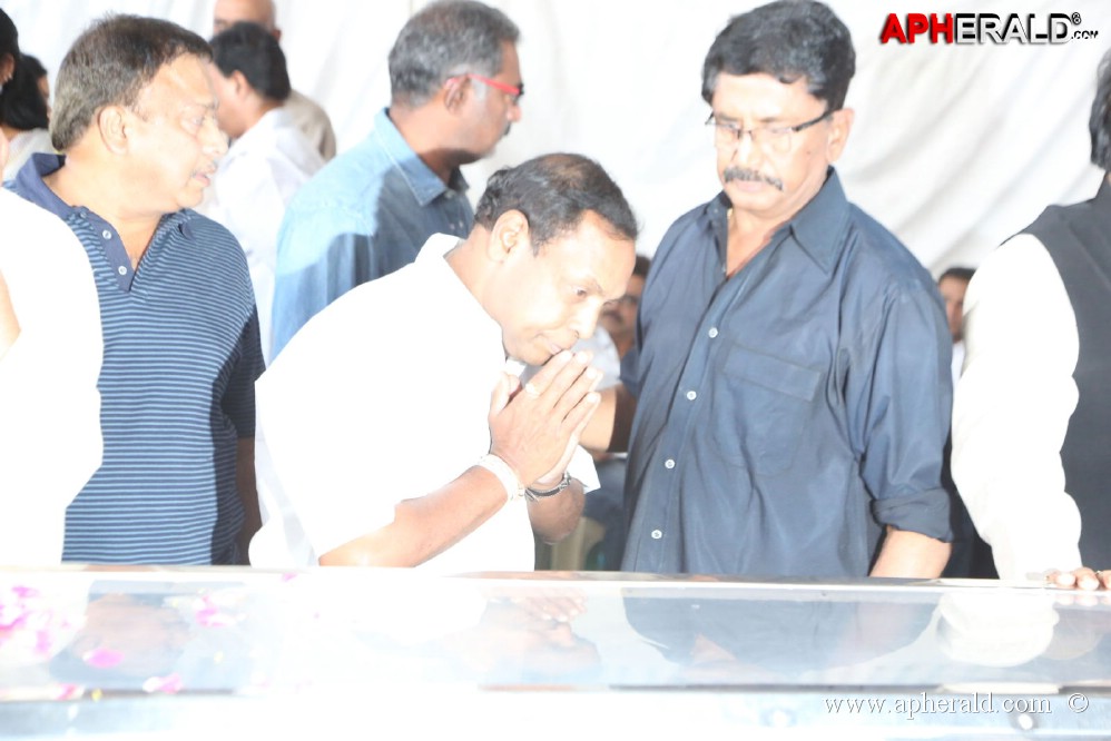 ANR Final Journey Photos