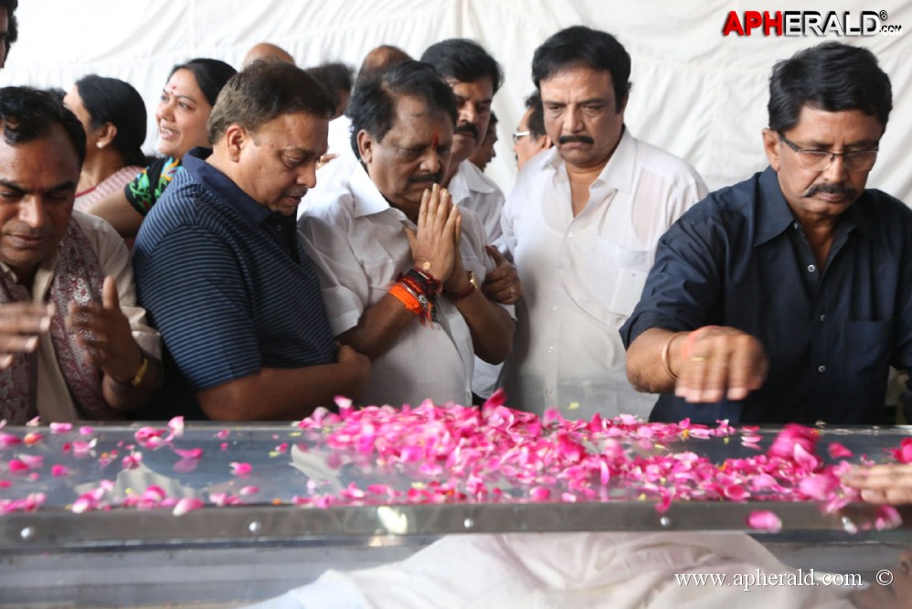 ANR Final Journey Photos
