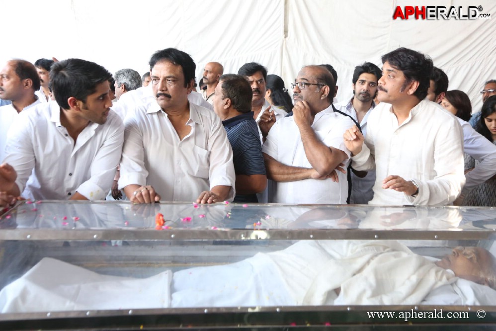 ANR Final Journey Photos