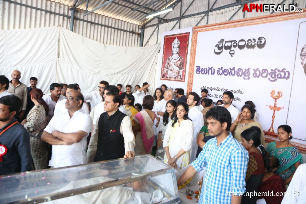 ANR Final Journey Photos