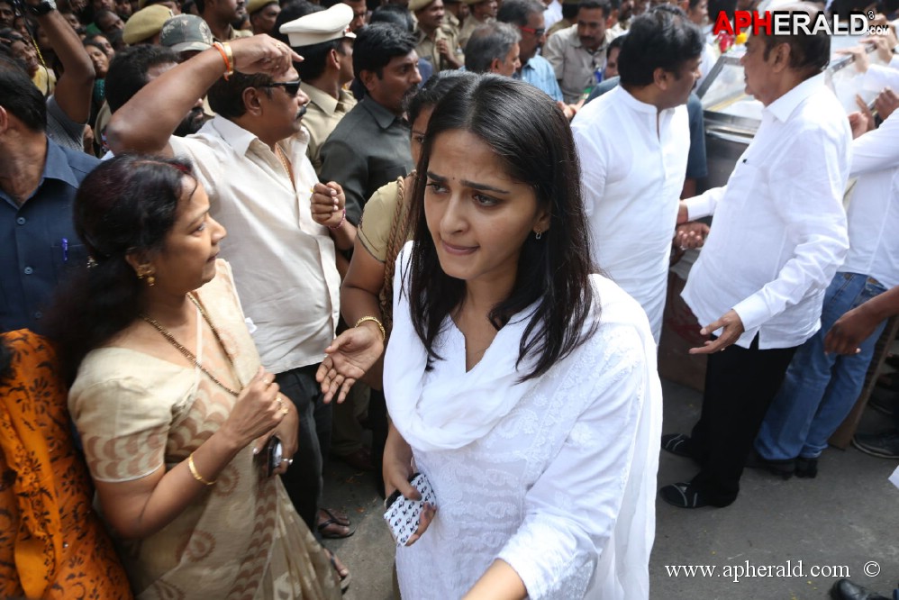 ANR Final Journey Photos