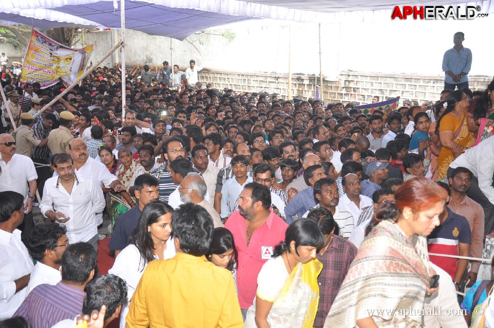 ANR Final Journey Photos