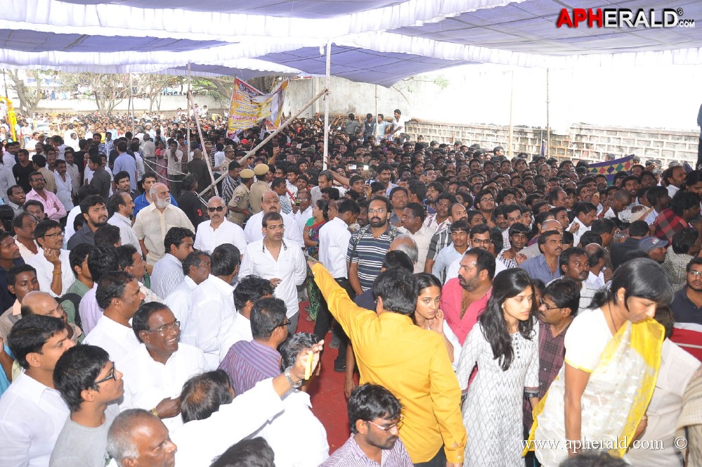 ANR Final Journey Photos