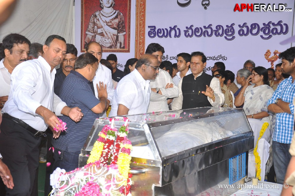 ANR Final Journey Photos