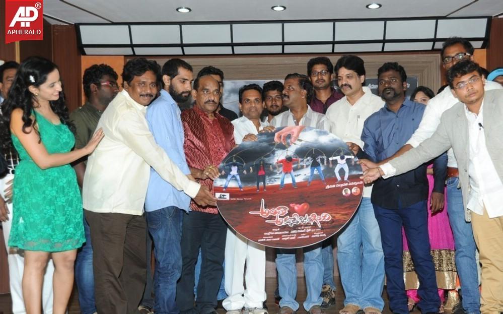 Antha Akkade Jarigindi Movie Audio Launch