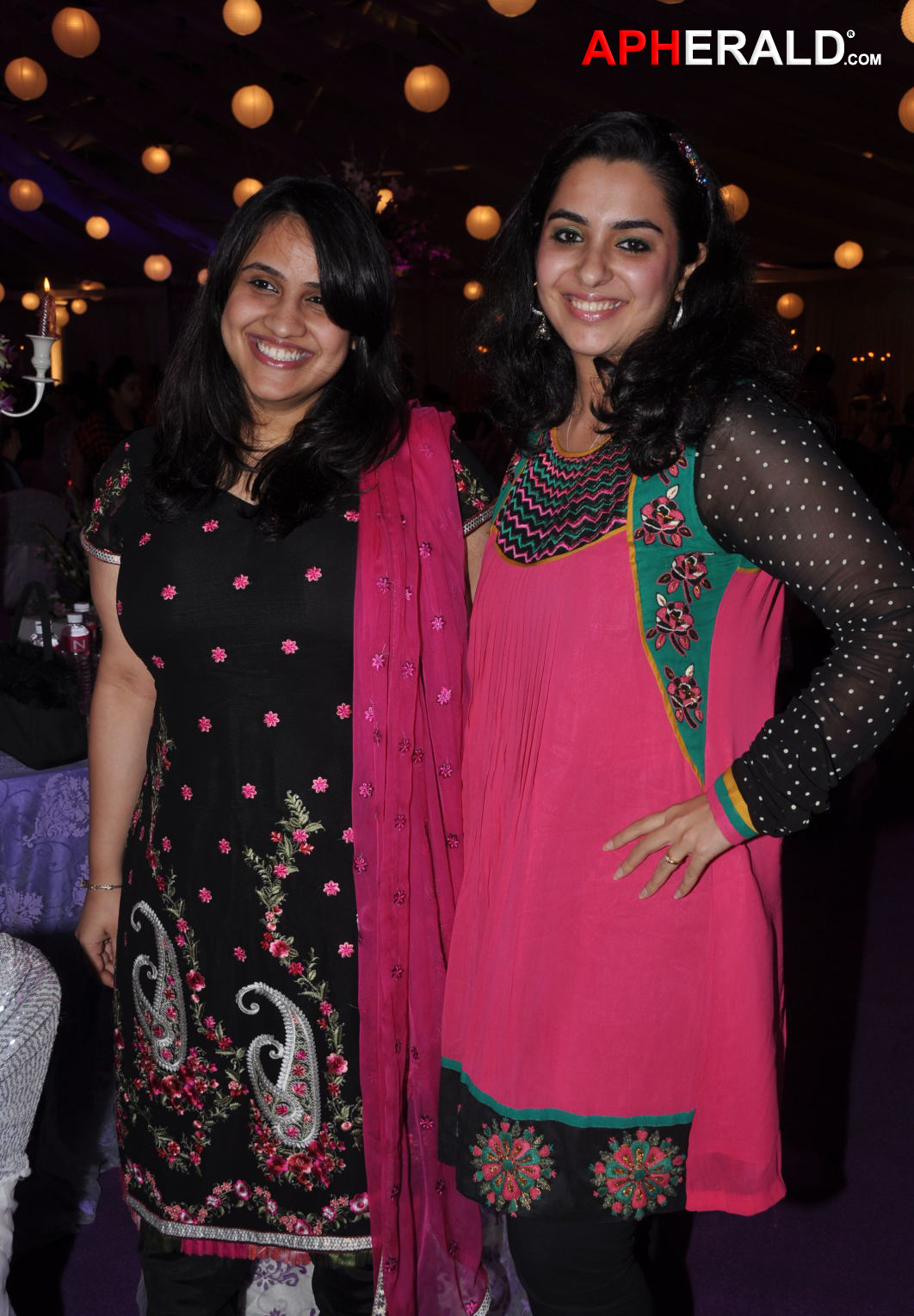 AP Punjabi Sabha Youth Diwali Milan Celebration