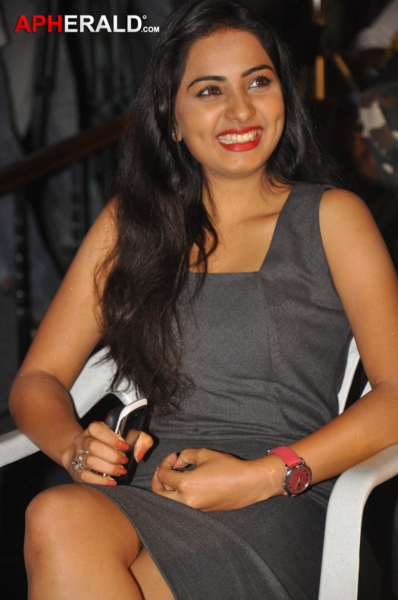 April Fool Movie Audio Launch