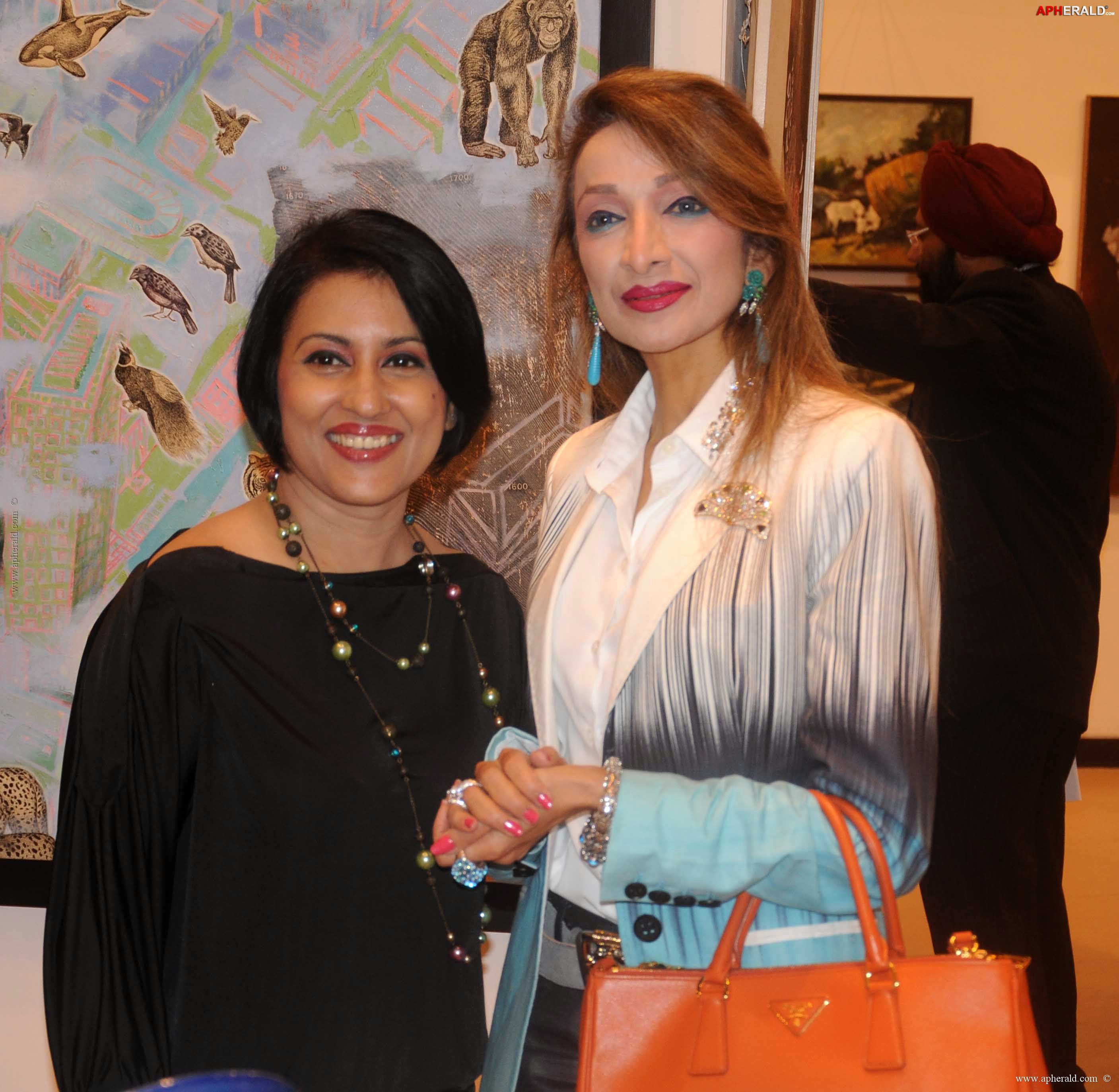 Aura Art Show Inauguration Photos