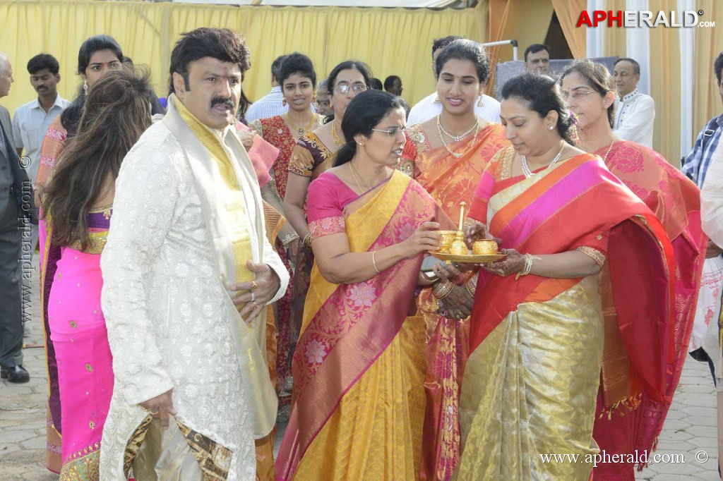 Balakrishna's Daughter's Wedding Photos 2