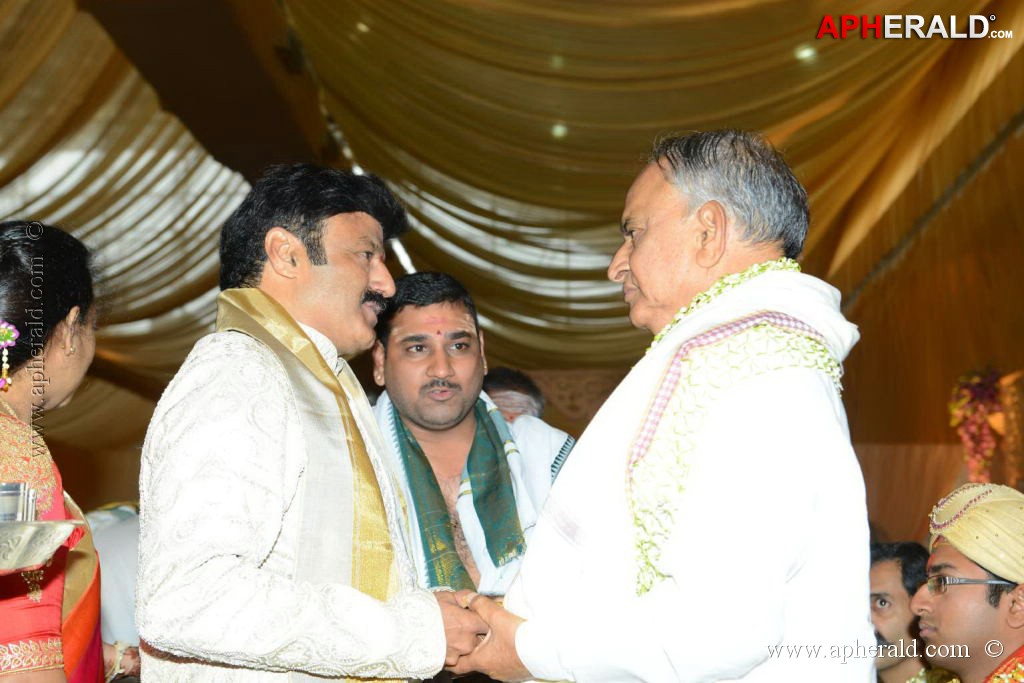 Balakrishna's Daughter's Wedding Photos 2