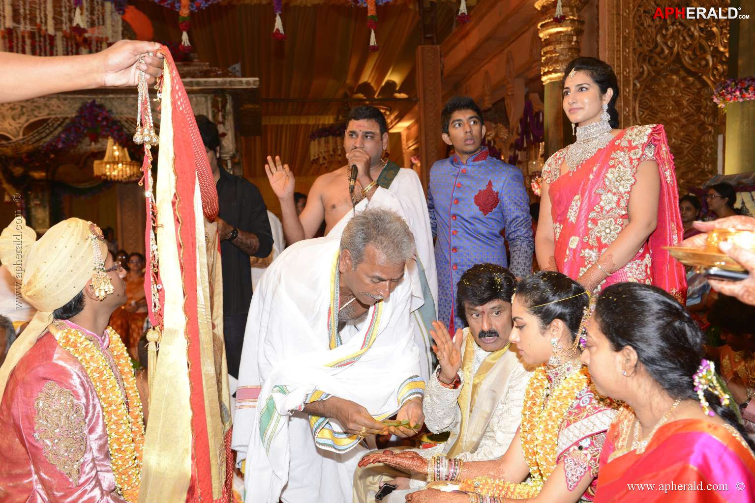 Balakrishna's Daughter's Wedding Photos 5