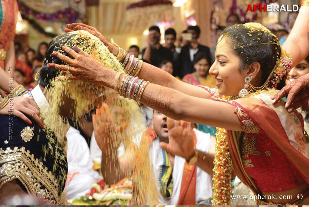 Balakrishna's Daughter's Wedding Photos 7